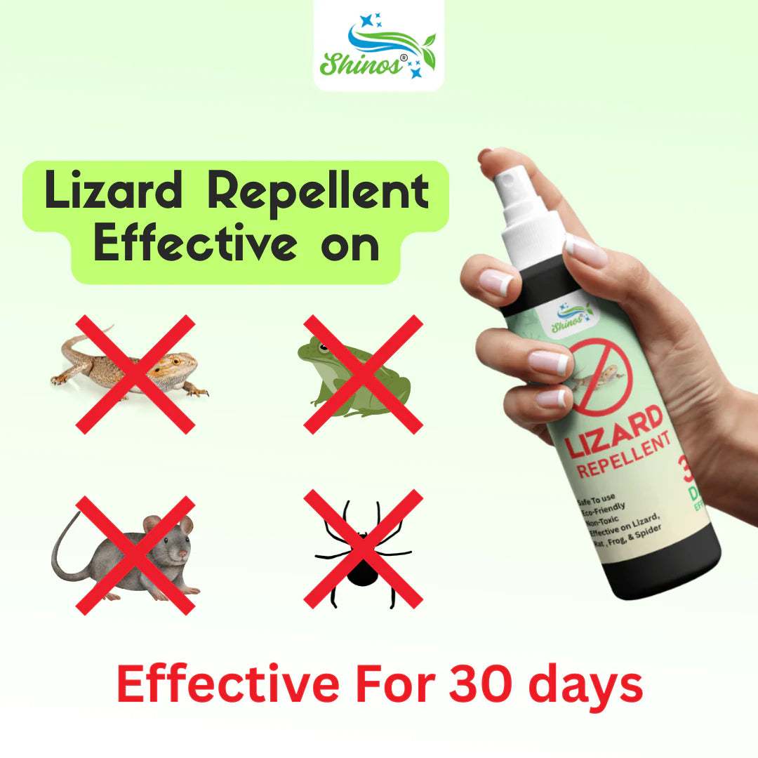 LizardOut 🔒